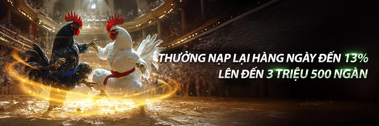 Hình ảnh chính Thể Thao Thomo Đăng Nhập